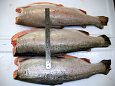 Frozen trout roe 500g in vacuum | Gallery  