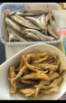 H&G IQF smelt | Gallery deep fried smelt 