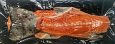 Frozen trout roe 500g in vacuum | Gallery  