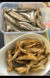 Baltic herring fresh fillet | Gallery deep fried smelt 