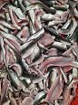 Baltic herring fresh fillet | Gallery Baltic herring fresh fillet 